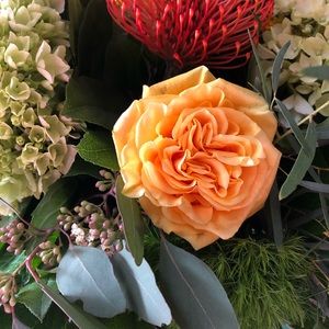 Meet your Posher, Diana